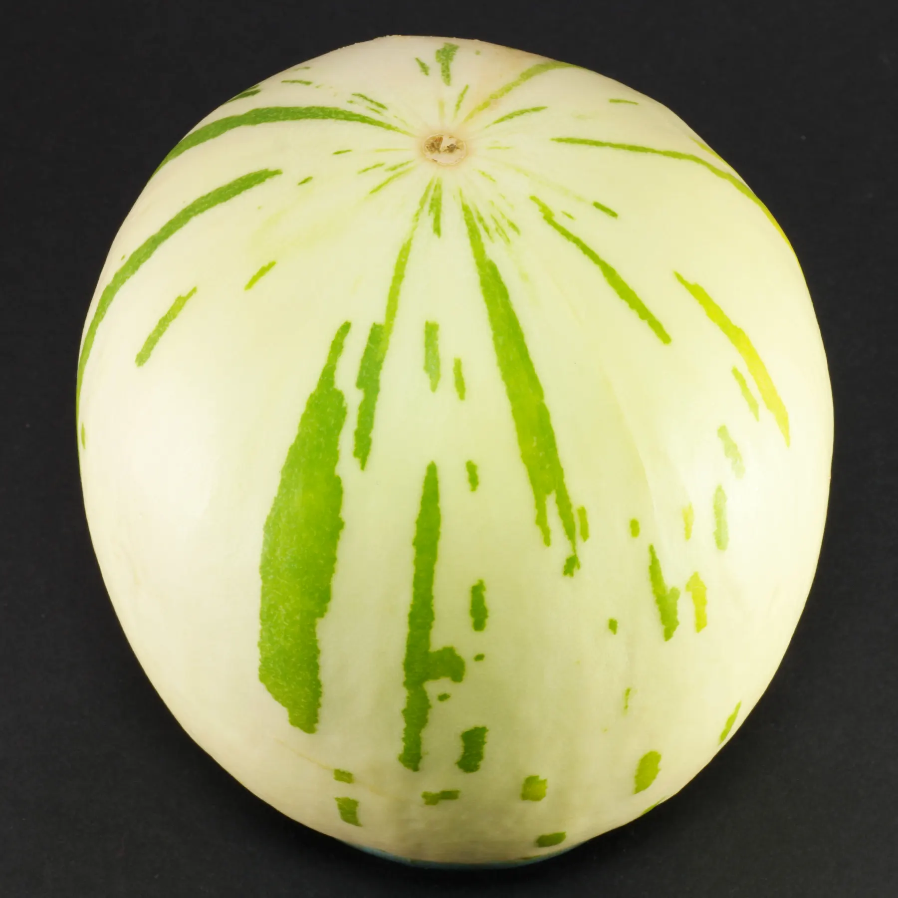 snowball melón